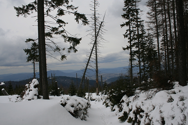 Turbacz 22.03.08 052